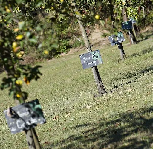 Relais De La Poste Hotell Magescq