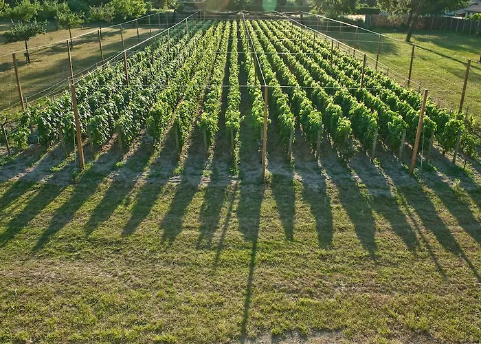 Relais De La Poste 4*